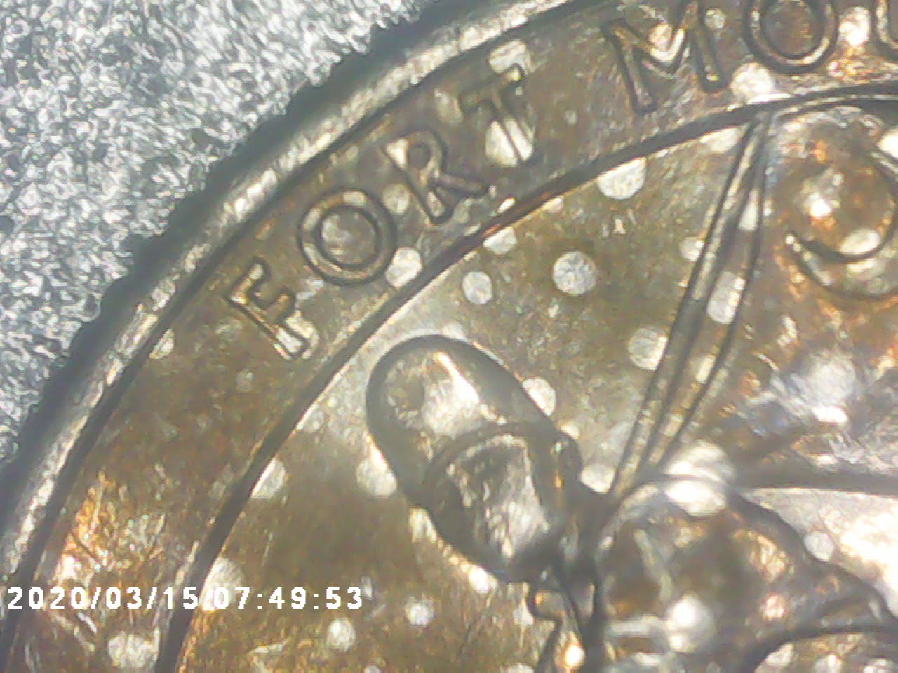 2016-D-Spotted-Quarter